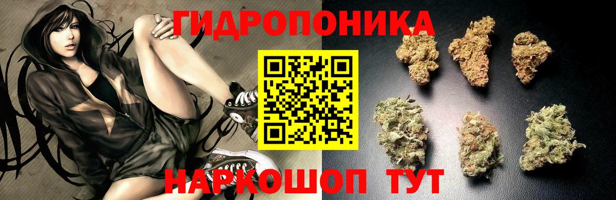 Бошки марихуана ГИДРОПОН  Вход с VPN  Воркута  Марихуана Ganja  Канабис OG Kush 